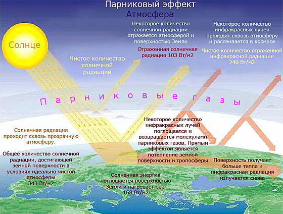 Екологічні проблеми світу