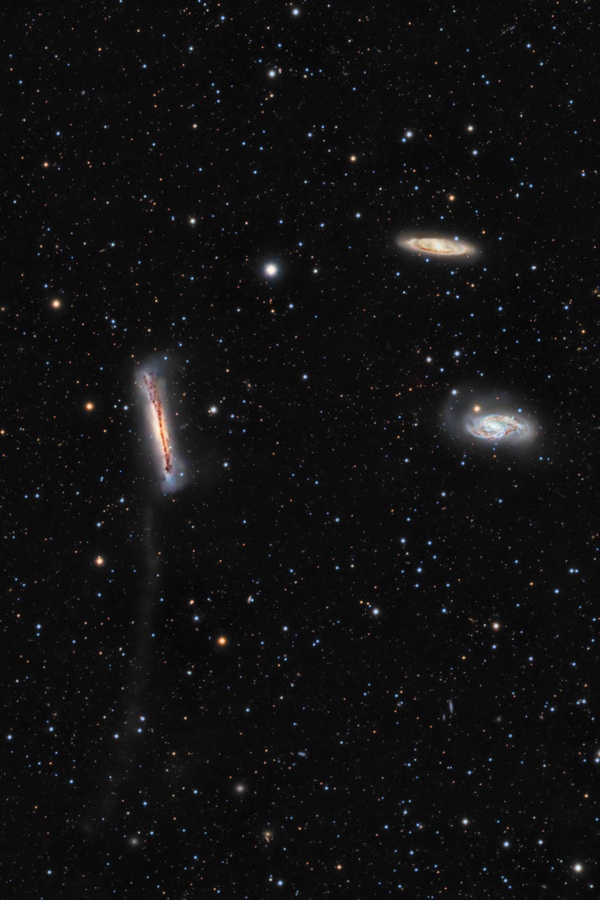 Фотографії космосу. Приливний хвіст галактики NGC 3628. Фото: Thomas V. Davis/tvdavisastropix.com Фотографії космосу. Приливний хвіст галактики NGC 3628. Фото: Thomas V. Davis/tvdavisastropix.com