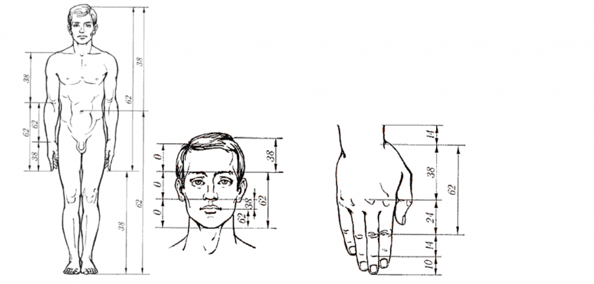 face-zolot-sech.gif