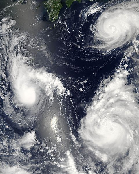 480px-Typhoon_saomai_060807.jpg
