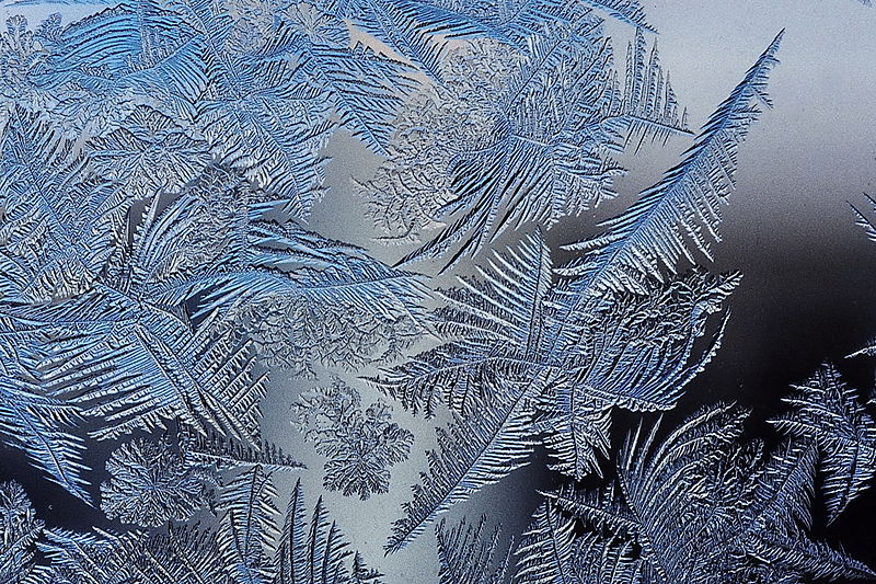 800px-Frost_patterns_2.jpg
