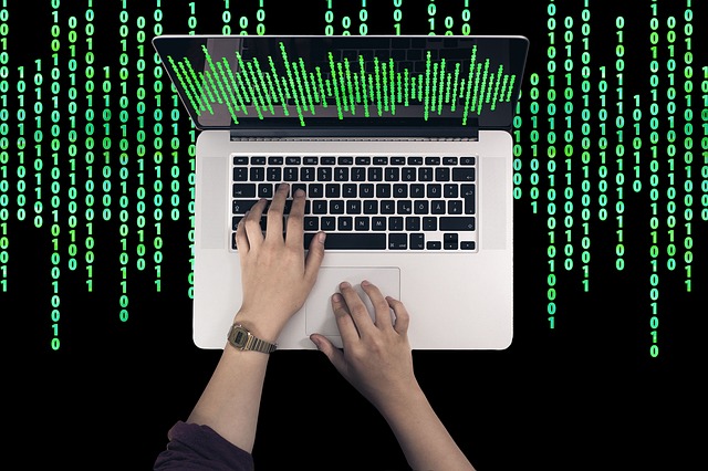 Web-розробка