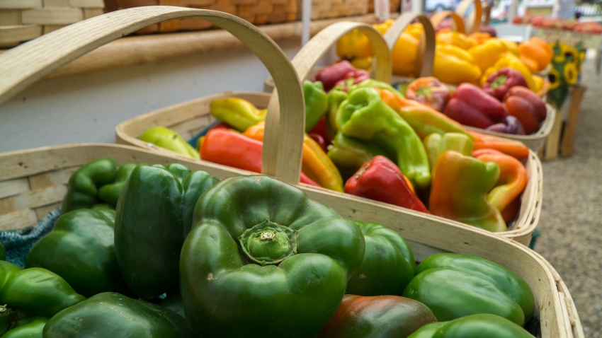 эко продукты