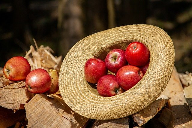 соломенная шляпа