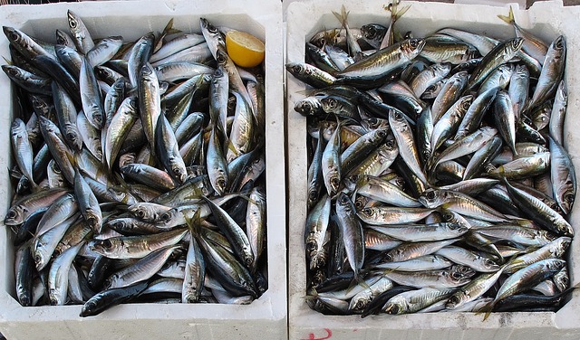 морская рыба