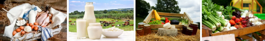 продукты питания