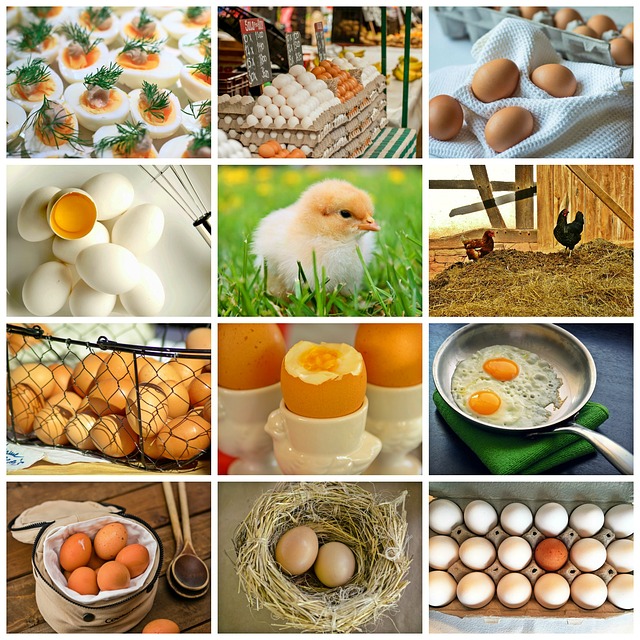 фермерские продукты