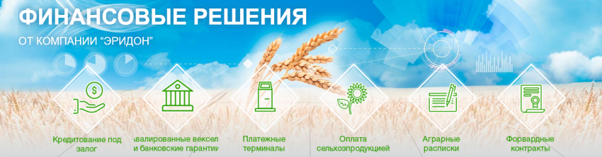 компания эридион