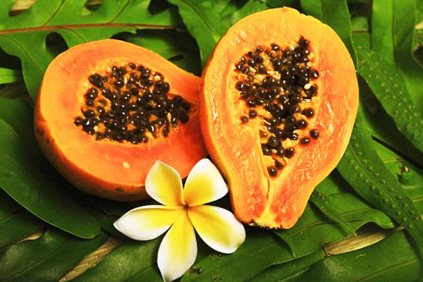 papaya-1.jpg папайя