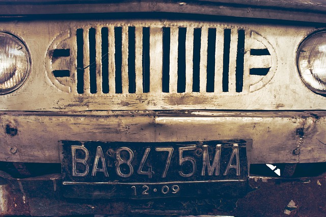 автономера