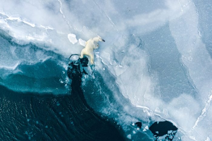 Флориан Леду, Франция. (Florian Ledoux/Drone Photo Awards 2022)