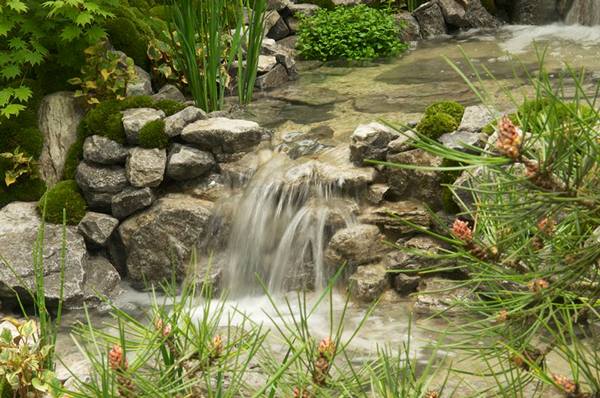 Фрагмент японського саду «Альков» на виставці квітів у Челсі. Фото: rhschelsea/facebook.com Фрагмент японського саду «Альков» на виставці квітів у Челсі. Фото: rhschelsea/facebook.com