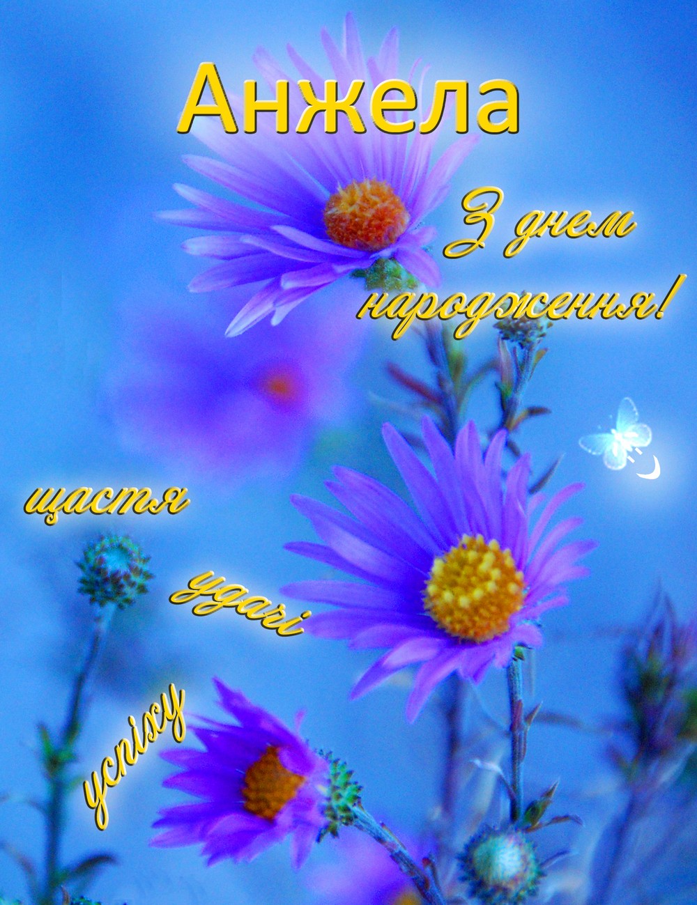 1c3ba5907b70d97de8469deb01200085