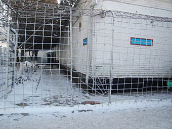Киргизия: Число заключённых