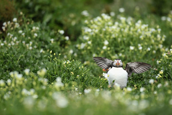 215fb90b45aaa71b966a97471e932b47