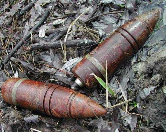 Горохове поле на Запоріжжі другий день знешкоджують від снарядів