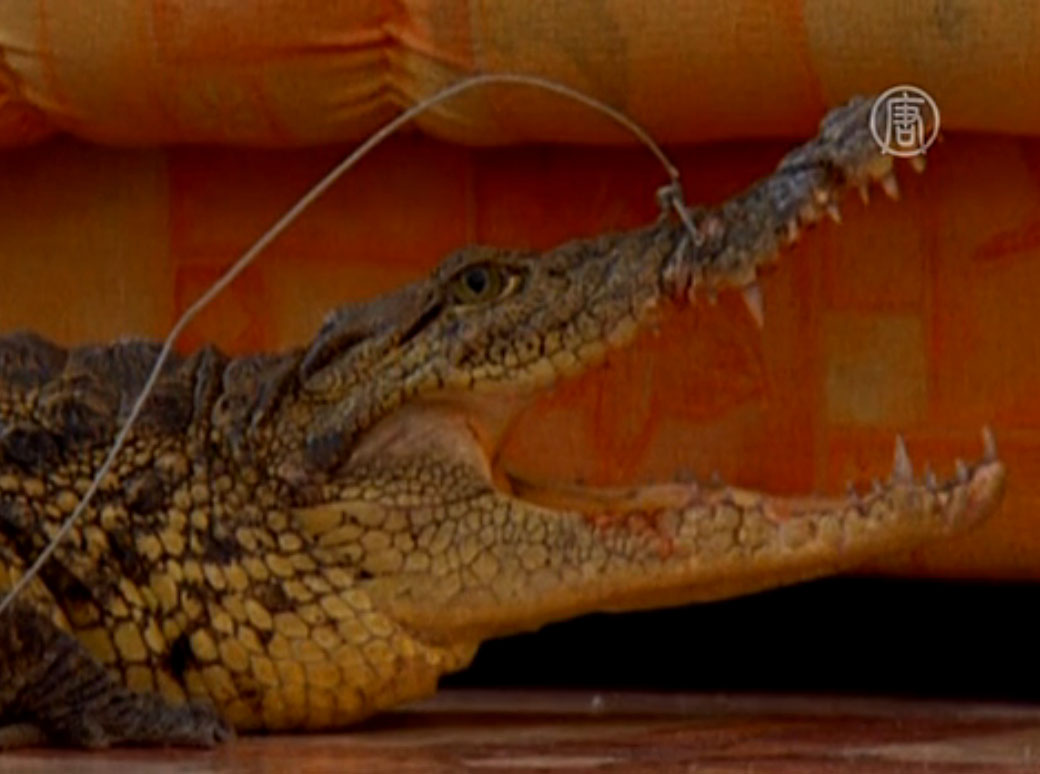 3b01cd59c1eb2a3c898ad063360f09d6