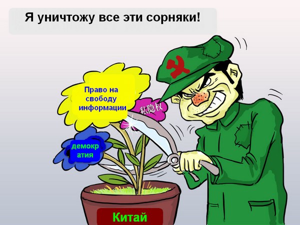 Американские чиновники требуют от китайских властей пересмотреть решение по поводу программы Green Dam