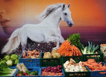 Органічні продукти: новий тренд ХХІ сторіччя