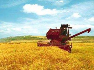 46bf912e2246bbeb45c92fd7827365b5