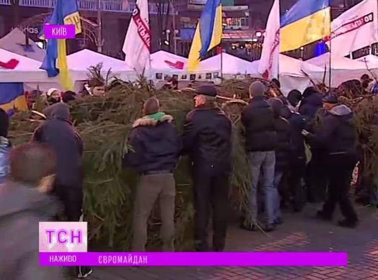 Євромайдану подарували 14-метрову живу ялинку