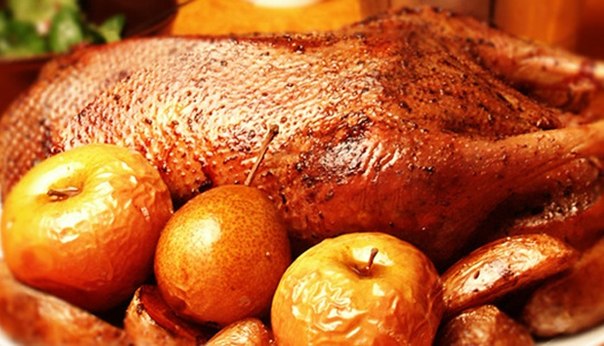 5e19b066ff8c68461b9968f81615b2cb