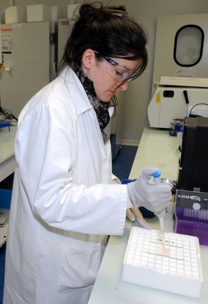 6ea88a3a3fe5696a07182dc46be3774c