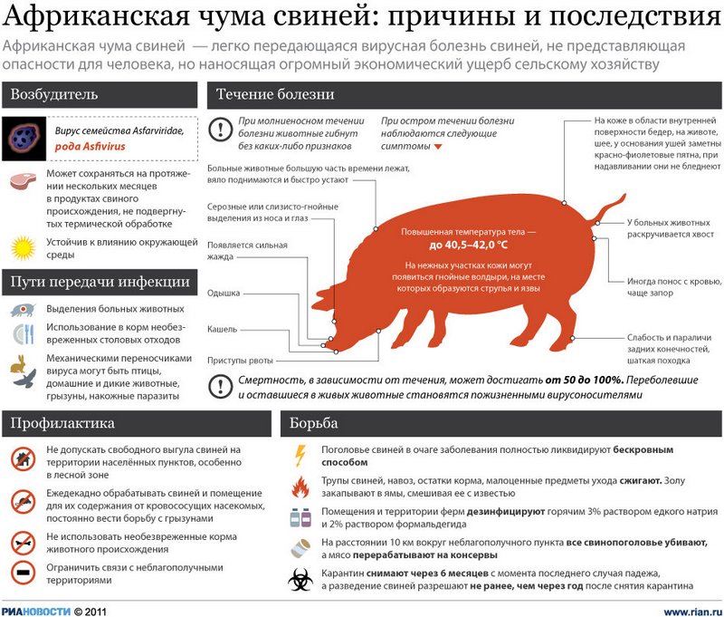 У Запорізькій області введено карантин через африканську чуму