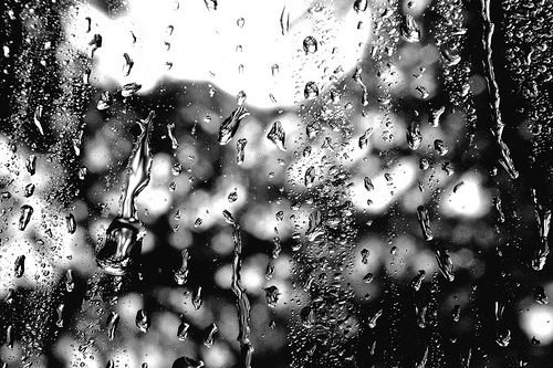 90e2d0e3a59a2a78f2ea317662c13fb8