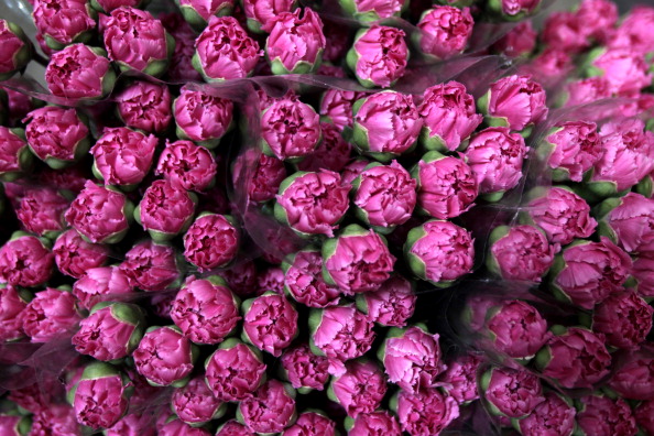 Жизнь в гармонии