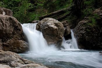 Бесплатная доставка воды по Киеву