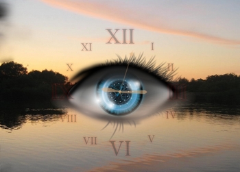 955ee4ab97706971be28404479d33e14