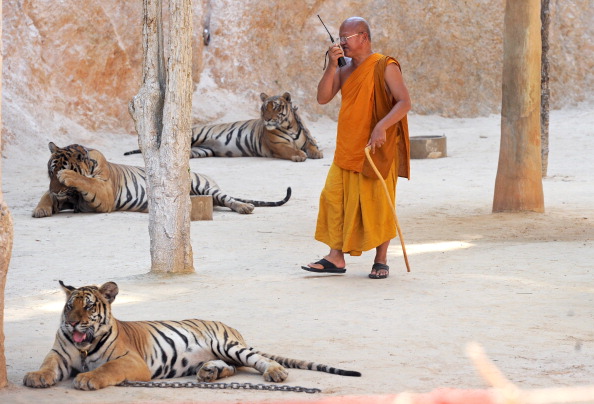 97733c0f386493392c20b3284771c986