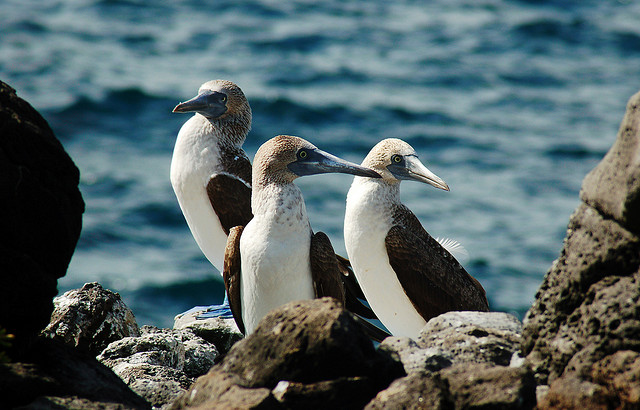 a6740e85e2988f7949394042def4071e