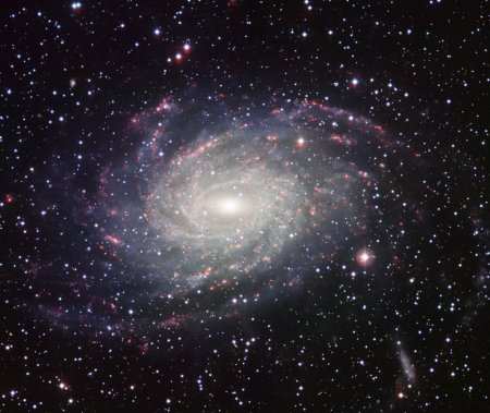 Астрономи зафіксували NGC 6744 – двійника Чумацького Шляху