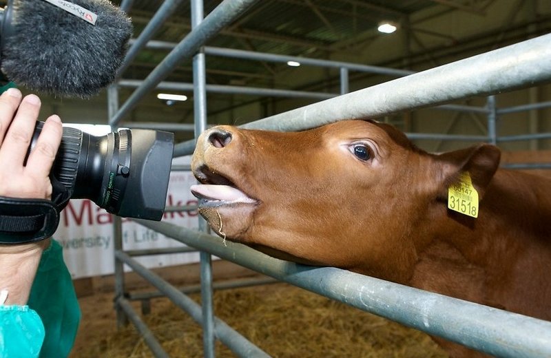 ab4b7a569e6478b0bd881e732a1d9168