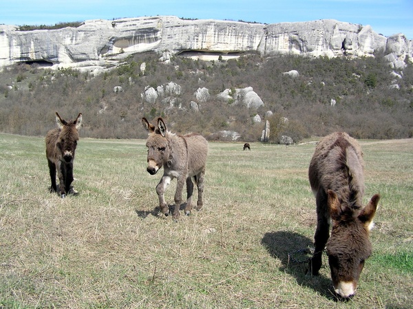 Весна в горном Крыму