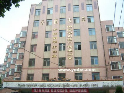 Иностранных студентов заставят покинуть Китай на период проведения Олимпиады