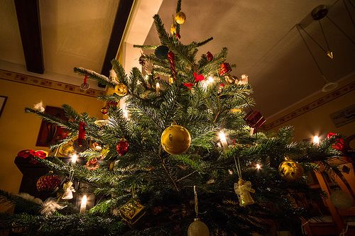 0bfad1dcdf8601d71279a4f16af862b5