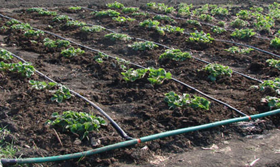 18b8bcb3c3aa1e0afe7426b8f811fe23