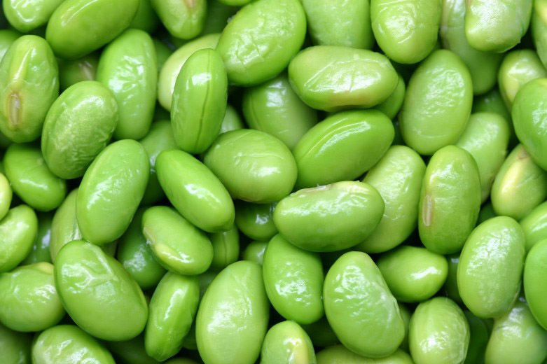 1bcdbbee1e57df9e0ede49e01d30d992