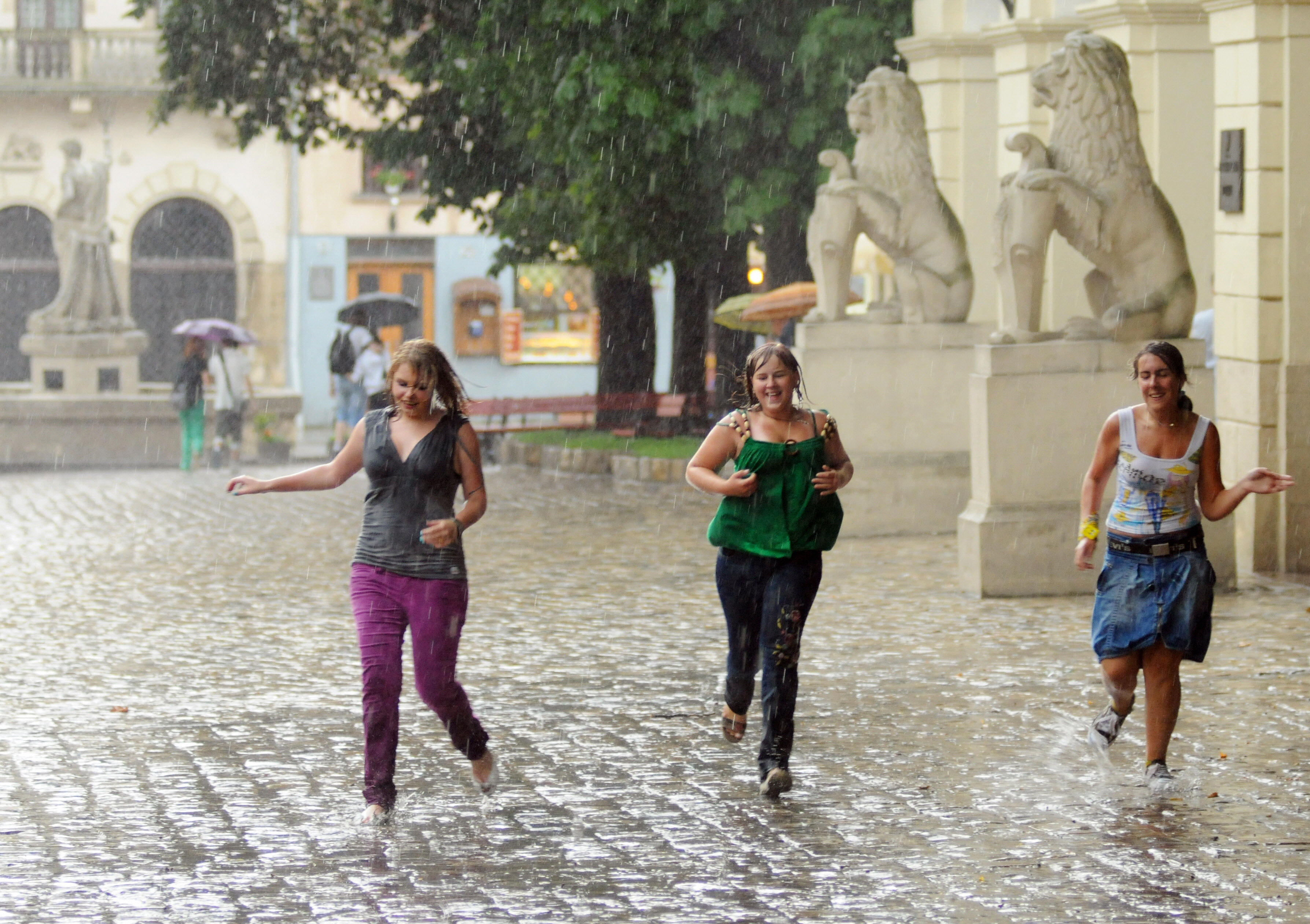 1ce4ea269dab04a165e09cdae7b9a57b