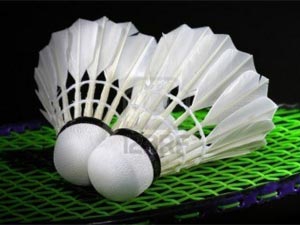 2fb590d3b515bfe9ae9fc0ad54653bac