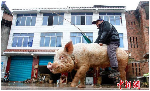 44e026c05fc11d3f7ddd3950050812e9