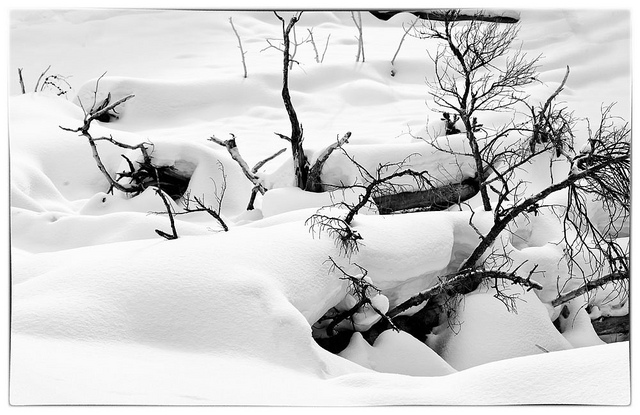 4c2b5239157634f00ddc03af07ce1538