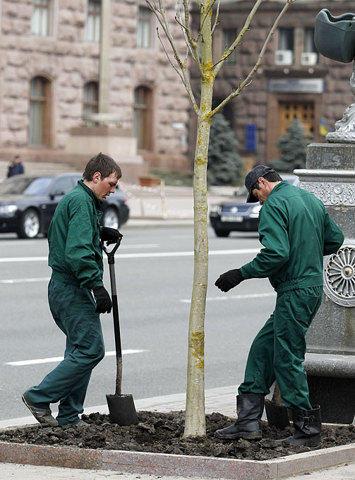 651e5e72c74a4c470be4da119640c30b