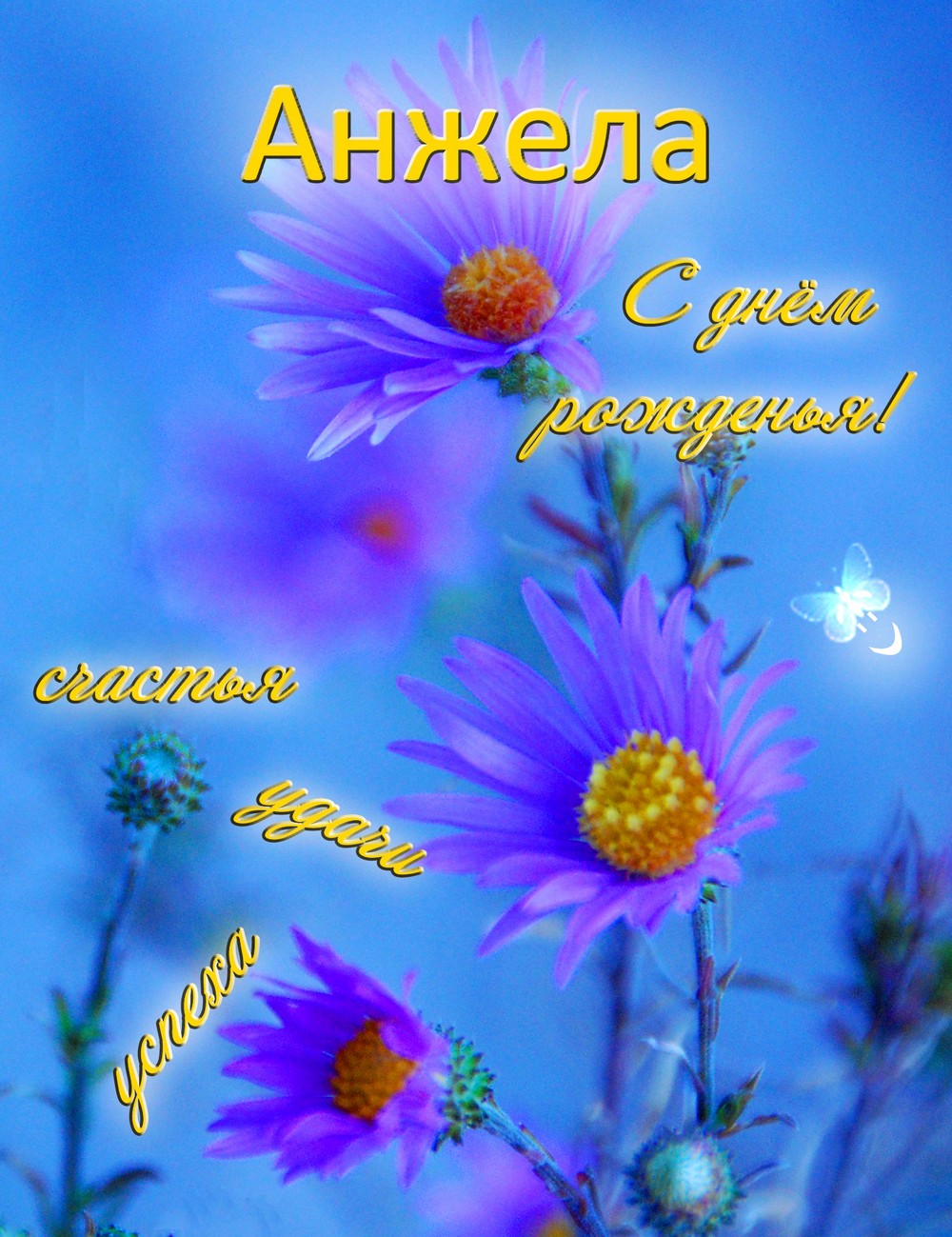 6cddd031c1a443d22504cb1c104e7996