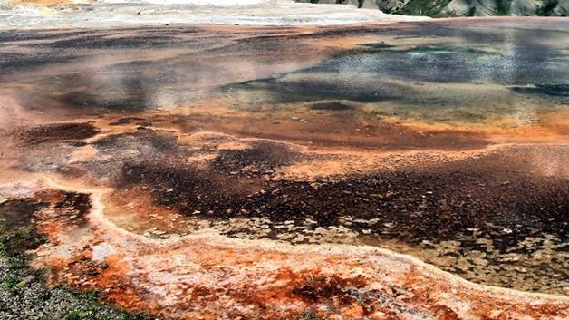 9a0600a30cfb623e4a4a02eb0d8af403