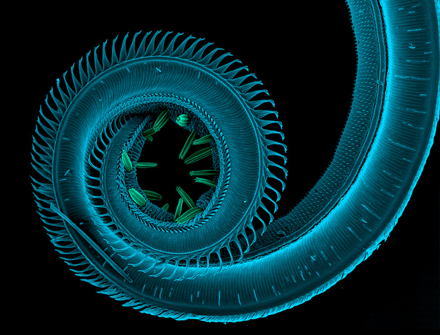 afebee0041c5d3278ebc76685e8d464a