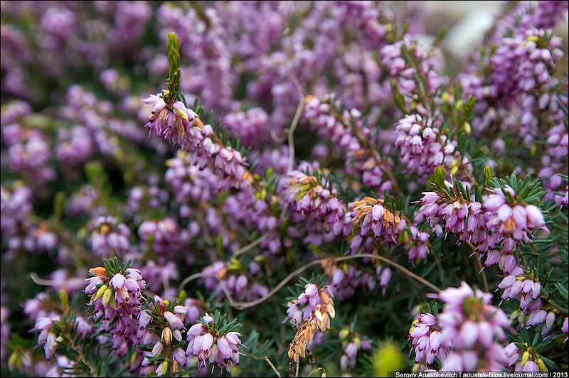 b25b8ad8e4dba7b1046e0fe9bd365f87